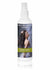 Anti-Frizz Anti-Static Taming Spray